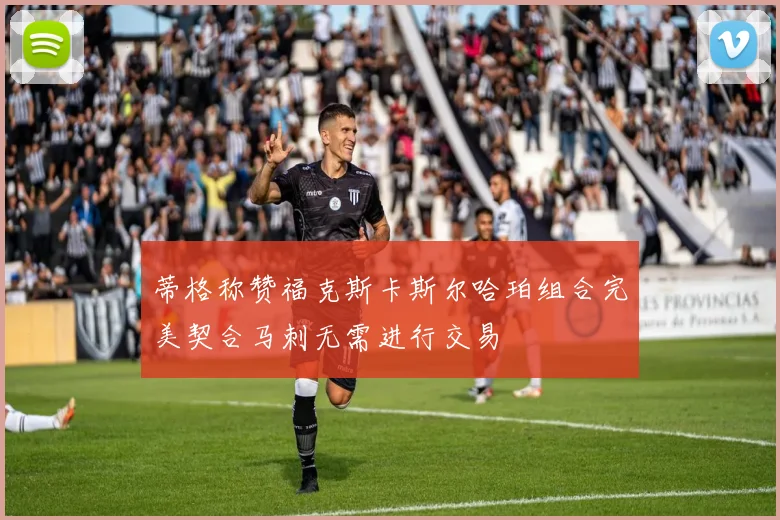 蒂格称赞福克斯卡斯尔哈珀组合完美契合马刺无需进行交易