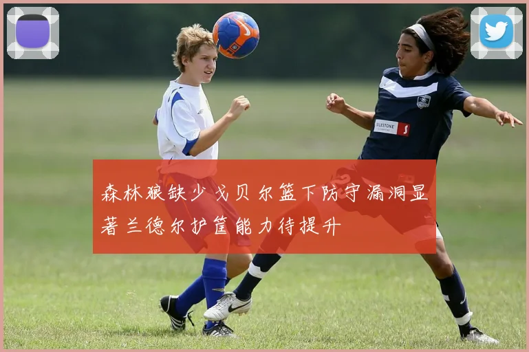 森林狼缺少戈贝尔篮下防守漏洞显著兰德尔护筐能力待提升